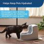 PetSafe Drinkwell Mini Pet Fountain for Cats and Small Dogs, 40 oz Capacity Water Dispenser with Filter Included, PWW00-14402