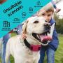 OCEVEN Wireless Dog Fence System with GPS, Outdoor Pet Containment System Rechargeable Waterproof Collar EF851S, Red, for 15lbs-120lbs Dogs with 2pcs Toys for Free