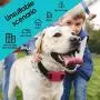 OCEVEN Wireless Dog Fence System with GPS, Outdoor Pet Containment System Rechargeable Waterproof Collar EF851S, Red, for 15lbs-120lbs Dogs with 2pcs Toys for Free OCEVEN Wireless Dog Fence System with GPS, Outdoor Pet Containment System Rechargeable Waterproof Collar EF851S, Red, for 15lbs-120lbs Dogs with 2pcs Toys for Free