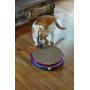 Bergan Mega Turbo Scratcher, Multicolor