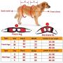 Dog Lift Harness Support Harness Support & Recovery Sling, Pet Rehabilitation Lifts Vest Adjustable Breathable Straps for Old, Disabled, Joint Injuries, Arthritis, Paralysis Dogs Walk, Rear Leg L