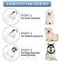 HIPIPET Dog Nail Grinder Electric Pet Nail Trimmer Rechargeable Quiet Upgraded 2-Speed Painless Paw Grooming for Large Medium Small Dogs and Cats
