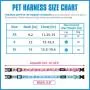 PUPTECK Cute Dog Collar for Small Dogs - 2 Pack Adjustable Flowers Dog Collars - Soft Mesh Dog Harness Pet Puppy Comfort Padded Vest No Pull Harnesses PUPTECK Cute Dog Collar for Small Dogs - 2 Pack Adjustable Flowers Dog Collars - Soft Mesh Dog Harness Pet Puppy Comfort Padded Vest No Pull Harnesses