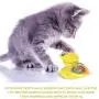 LOVEPET Pet Cat Toys Turntable Windmill Whirling Ball Toys for Cat Kitten Interactive Puzzle Teasing Toys Funny Cats Hair Brush Toys LOVEPET Pet Cat Toys Turntable Windmill Whirling Ball Toys for Cat Kitten Interactive Puzzle Teasing Toys Funny Cats Hair Brush Toys