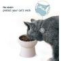 WUHOSTAM 2 Pack Ceramic Raised Cat Food Bowls,15 Ounces Porcelain Elevated Water Bowl, Porcelain Stress Free Backflow Prevention Feeding Pet Dish, Dishwasher and Microwave Safe (White)