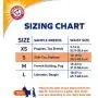 Arm & Hammer for Pets Male Dog Wraps, Size Small, 12 Count | Ultra-Abosorbent, Adjustable Male Dog Diapers with Leak-Proof Protection and Wetness Indicator (FF13881)