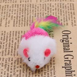 avbxcuecc 10Pcs/Set Novelty Pet Kitten Cat Furry Mouse Shaped Toy Feather Tail Fetch Toy Gift