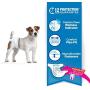 Four Paws Wee-Wee Disposable Dog Diapers 36 Count Small Four Paws Wee-Wee Disposable Dog Diapers 36 Count Small