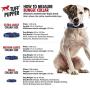 Tuff Pupper Small (13-17’) Heavy Duty Dog Collar with Handle and Medium Midnight Blue Metro - No Pull Dog Harness Bundle