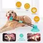 JESTOP Dog Chew Toys with Bell, Suction Cup Teething Rope Toys for Small and Large Dogs, Dogs Training Treats Toy, Multifunctional Interactive Pet Toy JESTOP Dog Chew Toys with Bell, Suction Cup Teething Rope Toys for Small and Large Dogs, Dogs Training Treats Toy, Multifunctional Interactive Pet Toy