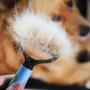 Novicey Dematting Tool for Dogs &Cats, Pet Grooming Undercoat Rake with Two-Side,Professional Stainless Steel Demat Comb Removes Loose Undercoat, Mats, Tangles and Knots Blue