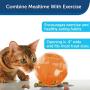 PetSafe SlimCat Meal-Dispensing Cat Toy, Great for Food or Treats