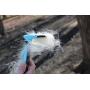 Copatchy Premium Cat and Dog Brush for Shedding