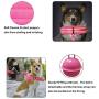 XIRGS Walking Dog Harness and Leash Set, Soft Flannel Padded Dog Halter & Lead No Pull Puppy Vest Adjustable Pet Training Harness Quick Fit Easy for Walking Running Training Small Dog