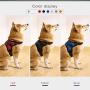LOOKSEVEN Dog Soft Adjustable Harness Pet Large Dog Walk Out Harness Vest Collar Chest Strap Puppy Vest for Small Big Dog Vest Collar