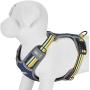 Blueberry Pet 10+ Colors Reflective Padded Dog Harnesses