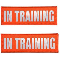 JUJUPUPS Orange Reflective Dog Patches 2 Pack Service Dog,in Training,DO NOT PET,Patches with Hook and Iron On Loop for Vests and Harnesses (in Training, 6x2 inch)