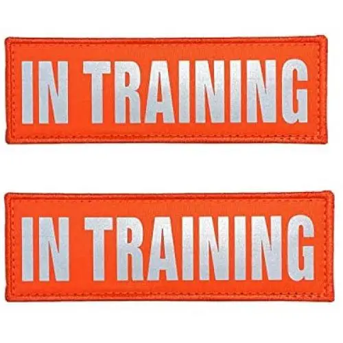 JUJUPUPS Orange Reflective Dog Patches 2 Pack Service Dog,in Training,DO NOT PET,Patches with Hook and Iron On Loop for Vests and Harnesses (in Training, 6x2 inch) JUJUPUPS Orange Reflective Dog Patches 2 Pack Service Dog,in Training,DO NOT PET,Patches with Hook and Iron On Loop for Vests and Harnesses (in Training, 6x2 inch)