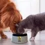 Road Refresher No Spill Dog Water Bowl for Home and Travel, No More Wet Floors or Splashes from Spills or Messy Jowl Drips Road Refresher No Spill Dog Water Bowl for Home and Travel, No More Wet Floors or Splashes from Spills or Messy Jowl Drips