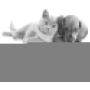 none branded 2 Pack Cat Slow Feeder Bowl,HICOMIE Pet Fun Interactive Slow Feeder Cat Bowl,Stress Free Pet Bowl Helps Stop Bloat Prevents Obesity Improves Digestion