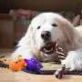 Sundrawy Squeaky Dog Toys for Puppy Small Dogs,Puppy Dog Rope Toys,Puppy Toys for Teething,Puppy Chew Toys for Small Dogs,9 Pack Interactive Dog Toys for Boredom,Stuffed Plush Squeaky Dog Toys Sundrawy Squeaky Dog Toys for Puppy Small Dogs,Puppy Dog Rope Toys,Puppy Toys for Teething,Puppy Chew Toys for Small Dogs,9 Pack Interactive Dog Toys for Boredom,Stuffed Plush Squeaky Dog Toys