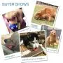 FLYER BOUTIQUE Dog Toys Pet Interactive Latex Sounding Balls Teeth Cleaning Big Football Tennis Rugby Volleyball