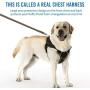 Golener Dog Harness No Pull, Reflective Puppy Harness with Led Light, Adjustable Dog Vest Harness, Soft Breathable Oxford Stylish Pet Harnesses with Easy Control Handle for Small/Medium/Large Dogs