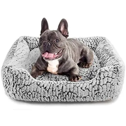 Hollypet Pet Bed, Self-Warming Bed for Cat and Small Medium-Sized Dog Puppy Rectangle Plush Sofa, Gray Hollypet Pet Bed, Self-Warming Bed for Cat and Small Medium-Sized Dog Puppy Rectangle Plush Sofa, Gray