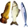 Tomcrazy 3PCS Simulation Fish Cats/Small Puppy Dogs Toys Catnip Pet Sets Doll Interactive Pets Toy Throw PP Cotton Plush Pillow Chew Bite Play Fetch Toy Grass carp Saury Arowana (3-Pack)