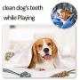 XIHONGSHIR Cotton Ball Toys, Tooth Cleaning, Exercise Game Ball, Dog Toy Ball with Rope, Durable Cotton Rope Chew Toys, for Medium and Big Dogs (5Pcs),Multicolor