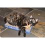 The Daisy Bee Flat Cat Scratcher Lounger with Two Reversible Double Wide Corrugated Cardboard Surfaces