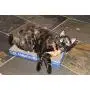 The Daisy Bee Flat Cat Scratcher Lounger with Two Reversible Double Wide Corrugated Cardboard Surfaces The Daisy Bee Flat Cat Scratcher Lounger with Two Reversible Double Wide Corrugated Cardboard Surfaces