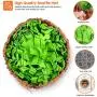 SURASA Pet Snuffle Mat for Dogs Small Medium Large - Durable Dog Snuffle Mat Washable Indoor Outdoor SURASA Pet Snuffle Mat for Dogs Small Medium Large - Durable Dog Snuffle Mat Washable Indoor Outdoor