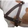 Brown Leather Dog Pulling Walking Harness Large. 31''-35'' Chest, 1.5'' Wide Straps Brown Leather Dog Pulling Walking Harness Large. 31''-35'' Chest, 1.5'' Wide Straps