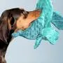 BarkBox Squeaky Dog Toys - Plush and Squeak Chew Toys | Puppy and Pet Toys for Small, Medium, and Large Dogs | Dingbert The Dragon