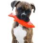 Ruff Dawg Flying Fish Floating Dog Toy Assorted Neon Colors