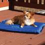 K&H PET PRODUCTS Coolin Comfort Bed - Ultra Thick Cooling Orthopedic Pet Bed