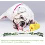 YF-TOW Dog Chew Toys Corn Molar Dog Toys Puppy Toothbrush Toys，Teething Cleaning Dental Toys with Rope, Bite Resistance for Dog Teeth Cleaning