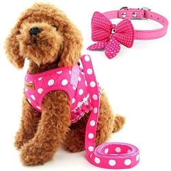 Cute Small Dog Harness, Ladies Polka Dots Dog Vest Harness Set with Pink Leash and Bowknot Collar, 3 in 1 Girl Style Vest Harness Set for Puppy and Cat (L, Pink)