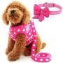 Cute Small Dog Harness, Ladies Polka Dots Dog Vest Harness Set with Pink Leash and Bowknot Collar, 3 in 1 Girl Style Vest Harness Set for Puppy and Cat (L, Pink)