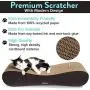 CatGuru The Infinity Scratcher