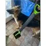 BLYNN 23'' Long Handle Pet Pooper Scooper for Dogs and Cats,High Strength Material and Durable Spring,Great for Lawns, Grass, Dirt, Gravel BLYNN 23'' Long Handle Pet Pooper Scooper for Dogs and Cats,High Strength Material and Durable Spring,Great for Lawns, Grass, Dirt, Gravel