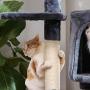 FEANDREA Cat Tree, Cat Tower House, Scratching Posts, 47.2 Inches