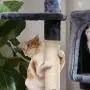 FEANDREA Cat Tree, Cat Tower House, Scratching Posts, 47.2 Inches FEANDREA Cat Tree, Cat Tower House, Scratching Posts, 47.2 Inches