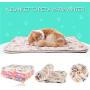 iNNEXT 3 Pack Puppy Blanket for Pet Cushion Small Dog Cat Bed Soft Warm Sleep Mat, Pet Dog Cat Puppy Kitten Soft Blanket Doggy Warm Bed Mat Paw Print