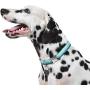 Now House for Pets by Jonathan Adler Green Chroma Collar, Large | Stylish and Fashionable Way to Keep Your Dog Looking Great | Cute and Adorable Dog Accessories for Pets, Chromatic