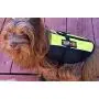 Dogline Therapy Dog Patches for Harnesses and Vests Removable 3D Rubber Patches with Hook Backing for Small Medium or Large Working Dogs