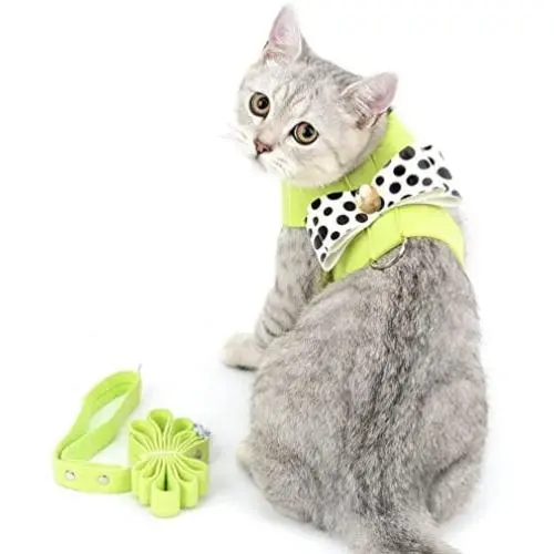 SMALLLEE_Lucky_Store CWYP00127 Ultra Suede Small Dog Cat Harness Leash Dots Bow SMALLLEE_Lucky_Store CWYP00127 Ultra Suede Small Dog Cat Harness Leash Dots Bow