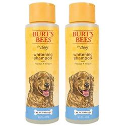 Burts Bees for Dogs Natural Whitening Shampoo with Papaya and Yogurt | Puppy and Dog Shampoo, 16 Ounces
