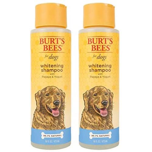 Burts Bees for Dogs Natural Whitening Shampoo with Papaya and Yogurt | Puppy and Dog Shampoo, 16 Ounces